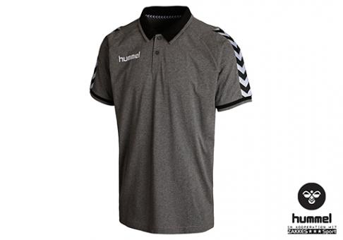 Hummel Trikot Stay Authentic Polo grau 